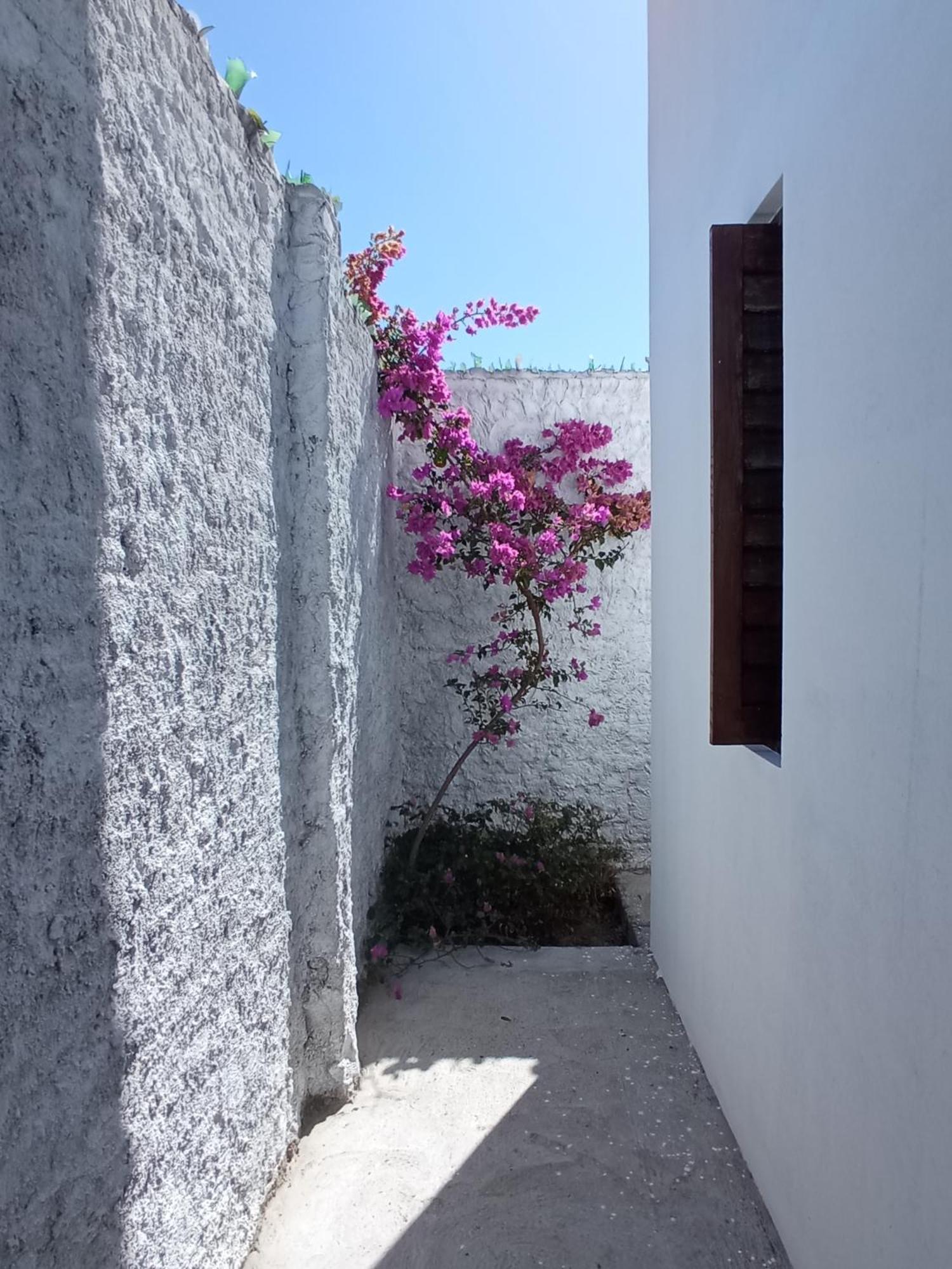 Casa Inti De Maracajau Villa Exterior photo
